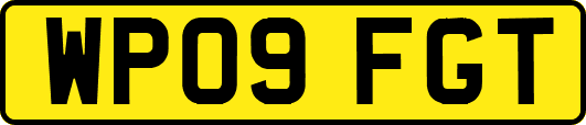 WP09FGT
