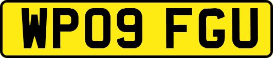 WP09FGU