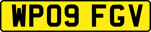 WP09FGV