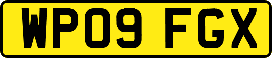 WP09FGX
