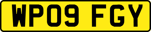 WP09FGY
