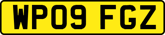 WP09FGZ