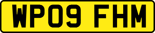 WP09FHM
