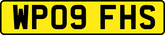 WP09FHS