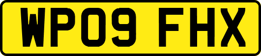 WP09FHX