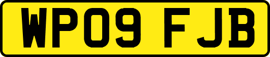 WP09FJB