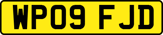 WP09FJD