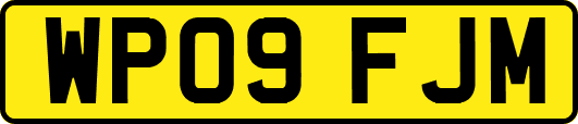 WP09FJM