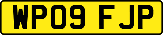 WP09FJP