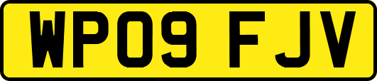 WP09FJV