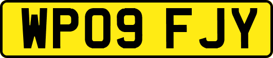 WP09FJY