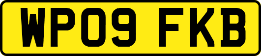 WP09FKB