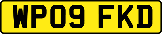 WP09FKD