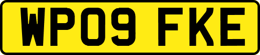 WP09FKE