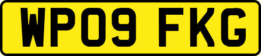WP09FKG