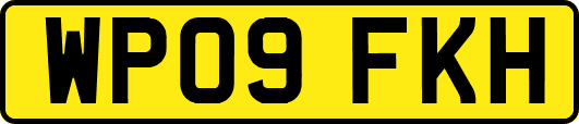 WP09FKH