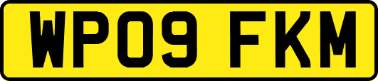 WP09FKM