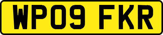 WP09FKR