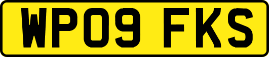 WP09FKS