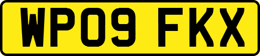 WP09FKX