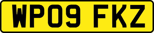 WP09FKZ