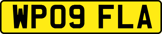 WP09FLA
