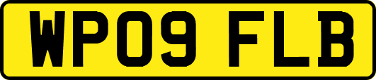 WP09FLB