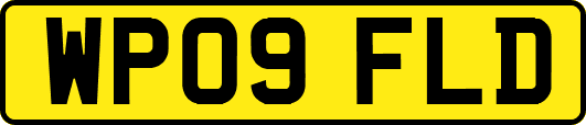 WP09FLD