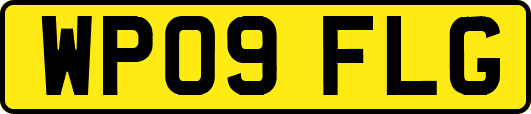WP09FLG