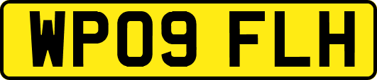 WP09FLH