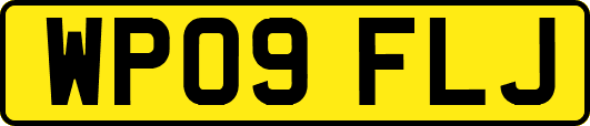 WP09FLJ