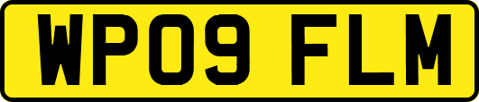 WP09FLM