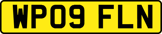 WP09FLN