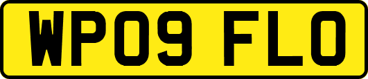 WP09FLO