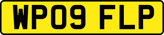 WP09FLP