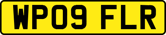 WP09FLR