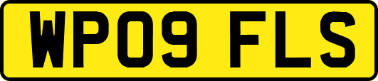 WP09FLS