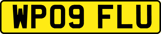 WP09FLU