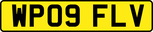 WP09FLV