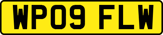 WP09FLW