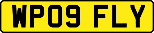 WP09FLY
