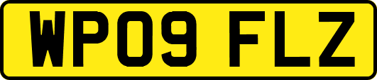 WP09FLZ