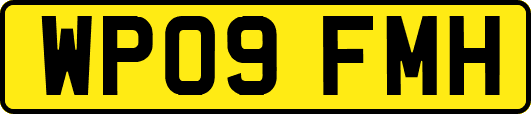 WP09FMH