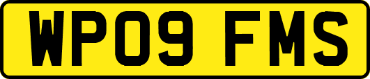 WP09FMS