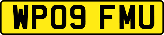 WP09FMU