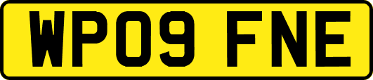 WP09FNE