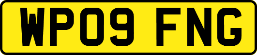 WP09FNG