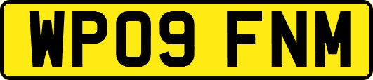 WP09FNM