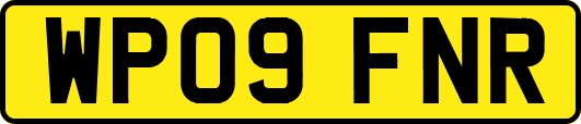 WP09FNR
