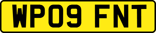 WP09FNT